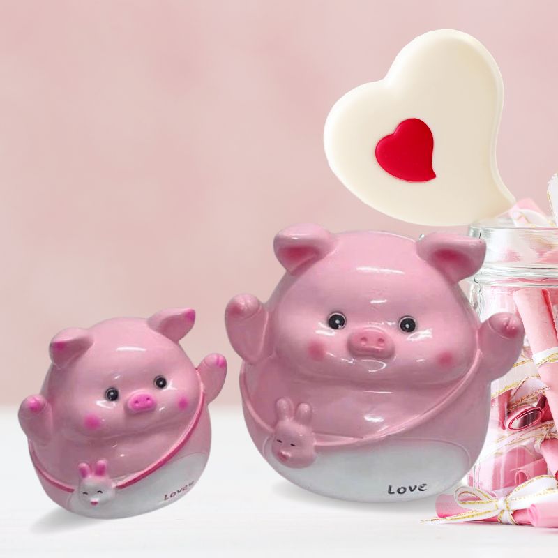 Ống Heo Đất Túi Thỏ màu hồng 4