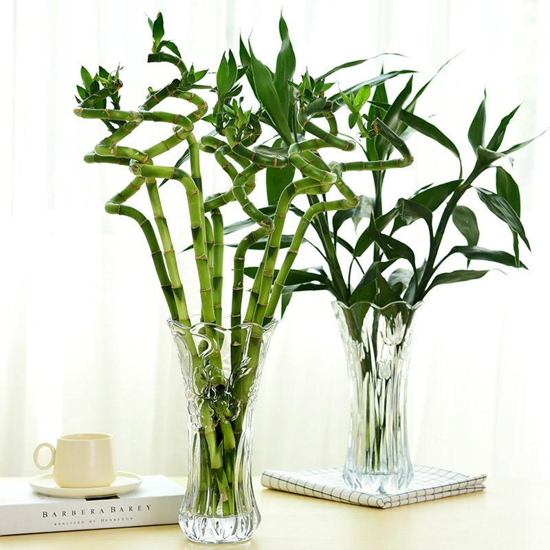 Lọ Hoa Thủy Tinh Họa Tiết Trắng 20CM 5