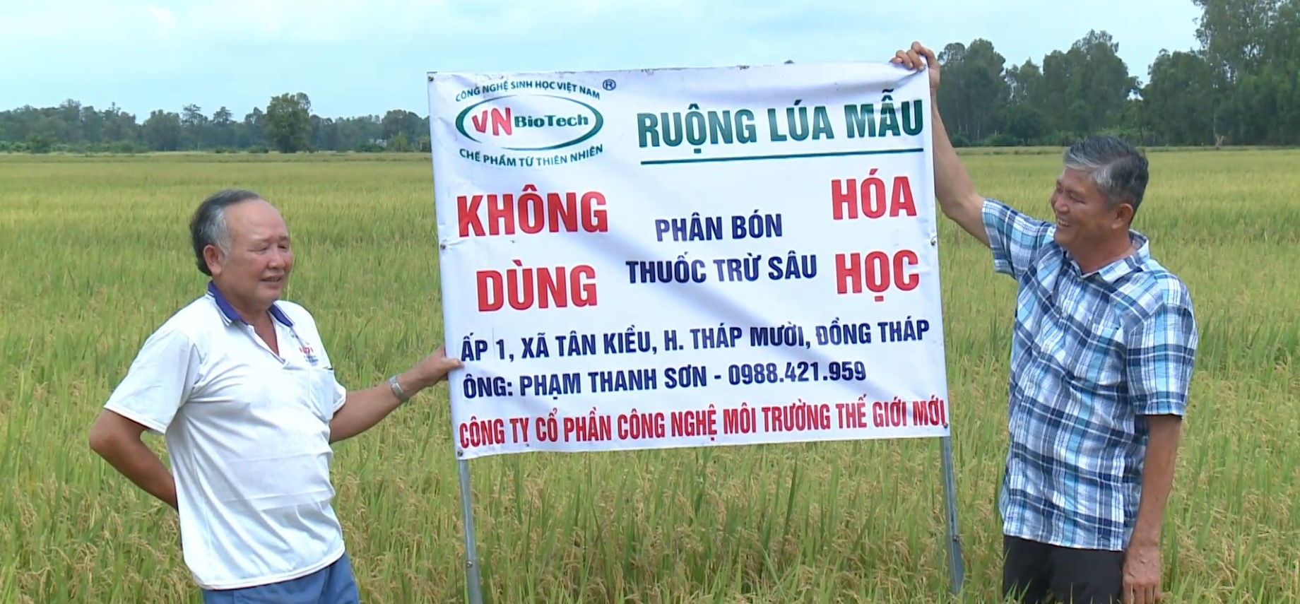 TRỒNG LÚA THEO CÔNG NGHỆ VNBIOTECH - Tháp Mười