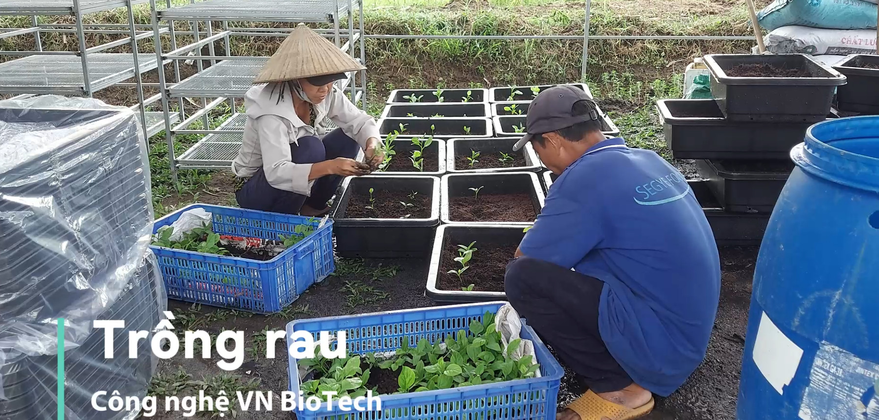 Đặt lịch tư vấn
