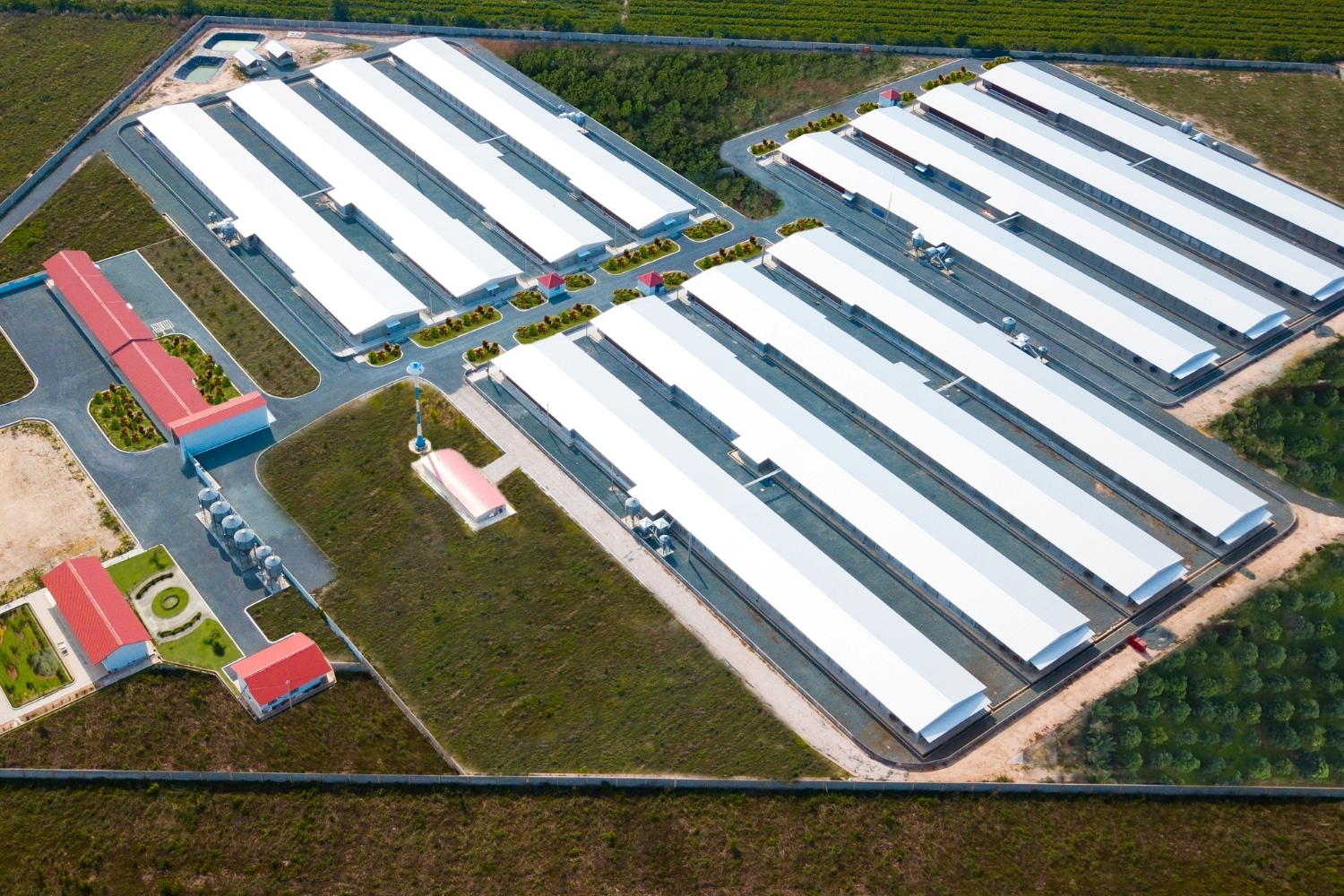 C.P. Việt Nam đáp ứng yêu cầu tiêu chuẩn ISO 22000:2018