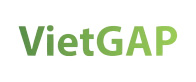 VietGAP