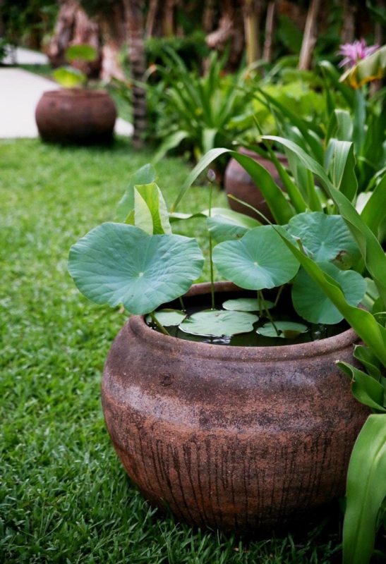 Chậu Gốm Bát Tràng Trồng Hoa Sen Đẹp Tại Gốm Sứ Phúc Lộc Viên Minh