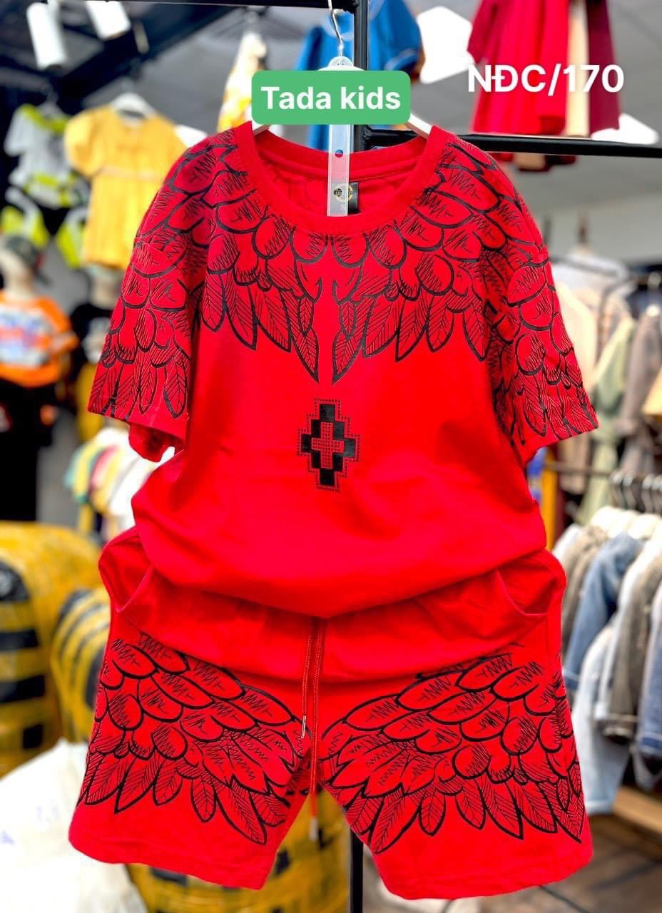 Bộ bé trai cotton in hình cánh chim (43-63kg)