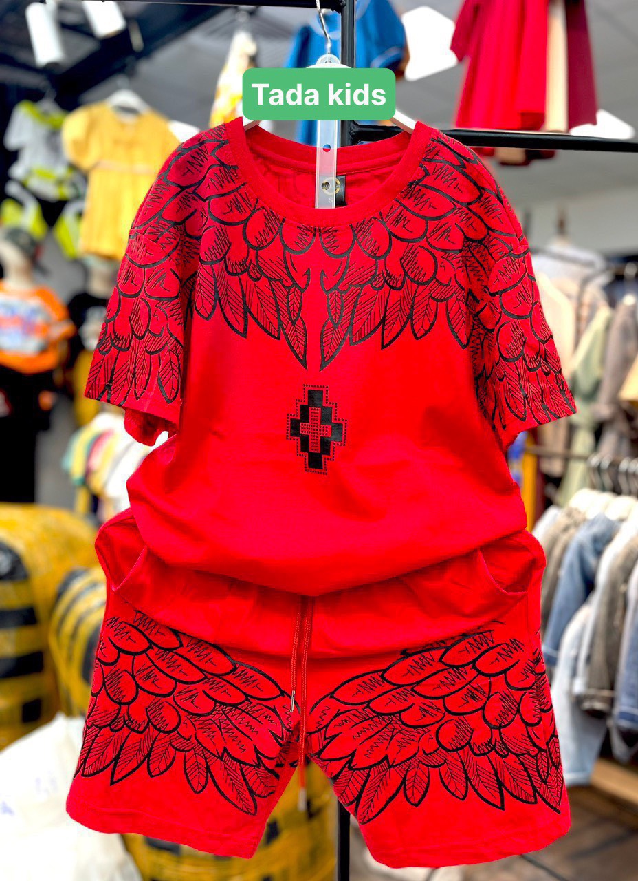 BỘ BÉ TRAI COTTON IN HÌNH CÁNH CHIM (26-42kg)