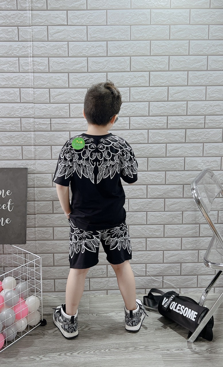 BỘ BÉ TRAI COTTON IN HÌNH CÁNH CHIM (26-42kg)