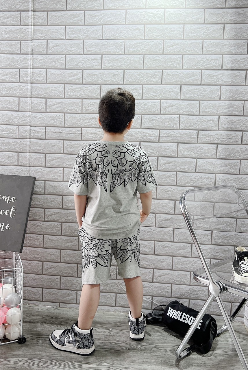 BỘ BÉ TRAI COTTON IN HÌNH CÁNH CHIM (26-42kg)