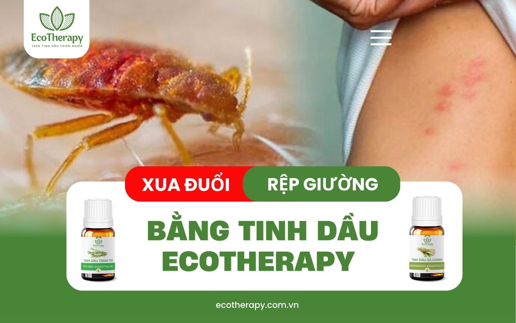 Xua Đuổi Rệp Giường Hiệu Quả Với Tinh Dầu Tự Nhiên Từ EcoTherapy