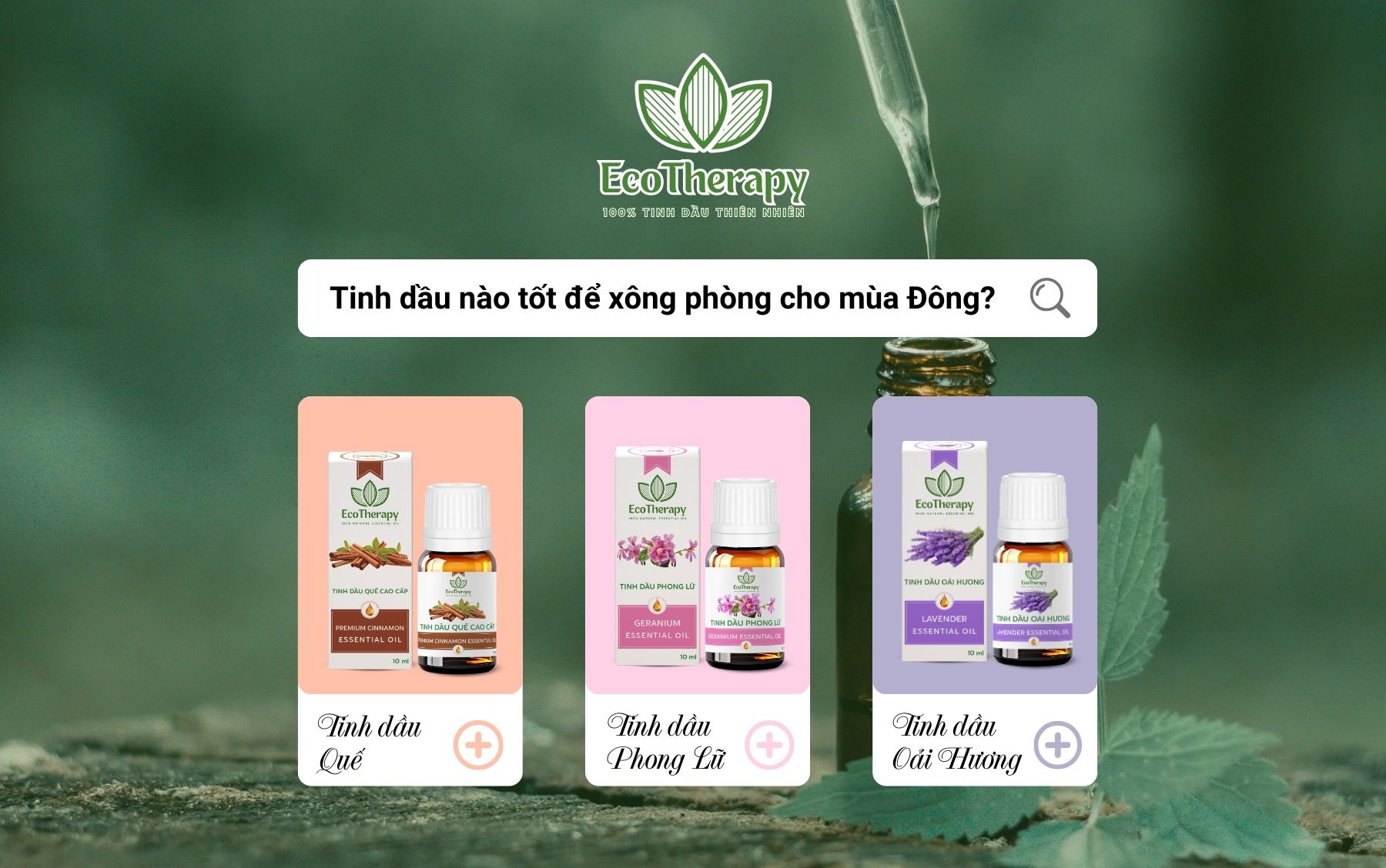 TINH DẦU NÀO TỐT ĐỂ XÔNG PHÒNG CHO MÙA ĐÔNG?