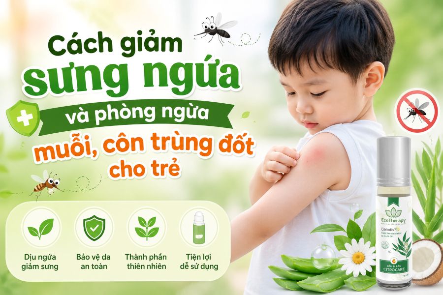 Cách giảm sưng ngứa và phòng ngừa muỗi, côn trùng đốt cho trẻ
