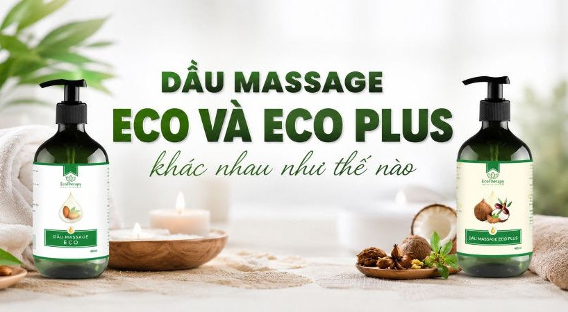 Dầu Massage Eco và Eco Plus khác nhau như thế nào?
