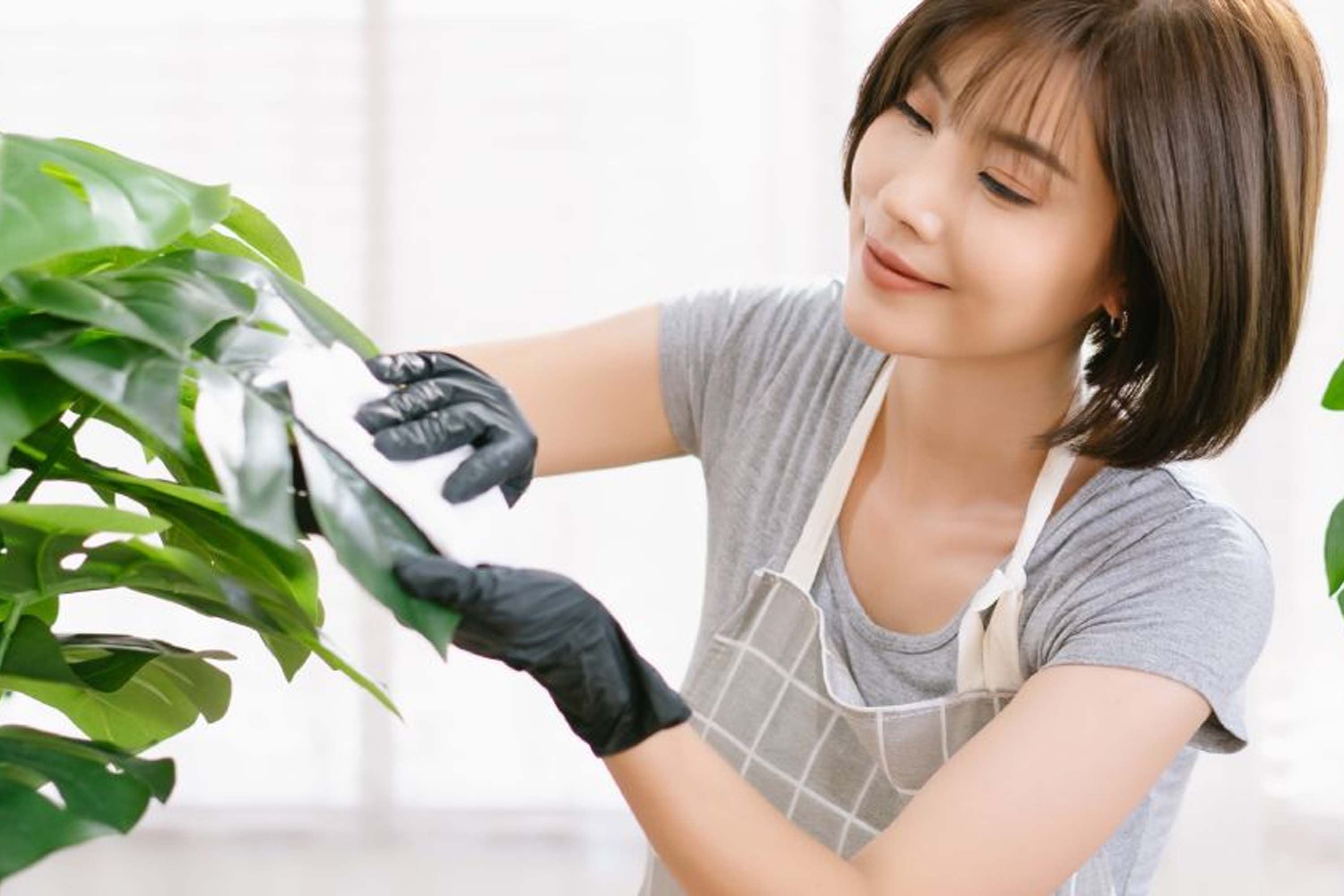 5 Thói quen “chữa lành tự nhiên” mỗi ngày tại nhà