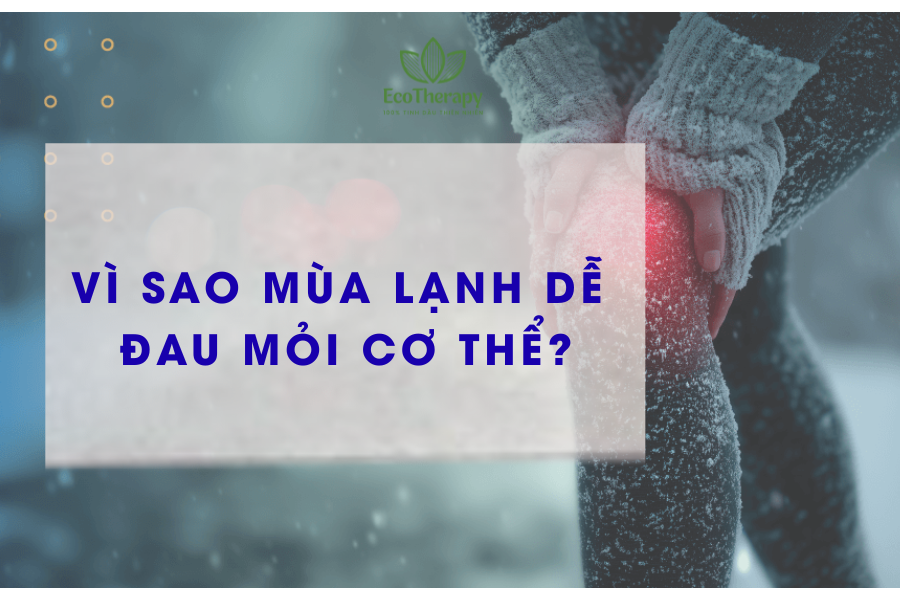 Vì sao mùa lạnh dễ đau mỏi cơ thể? Cách chăm sóc xương khớp hiệu quả