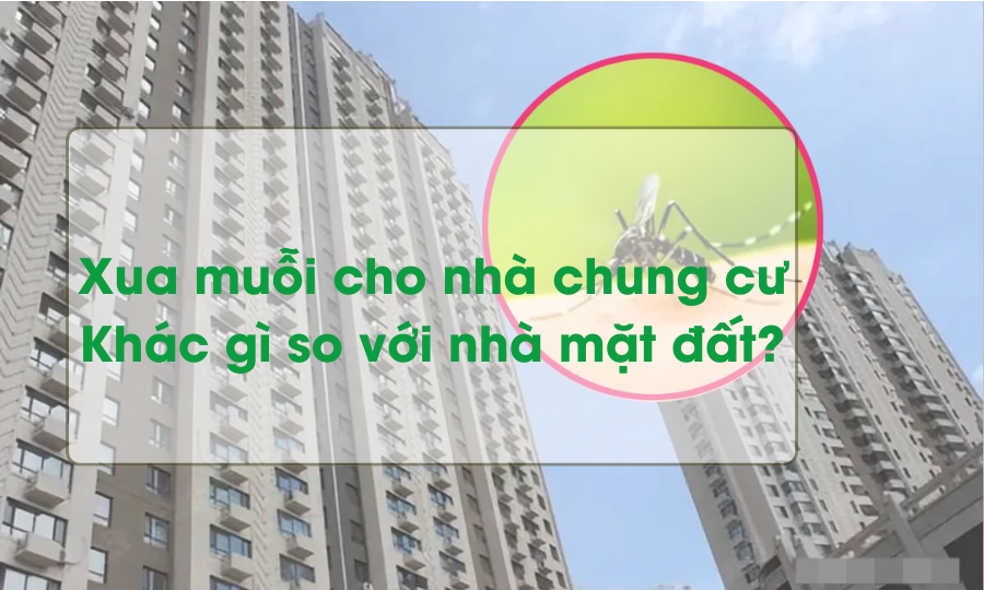 Xua muỗi cho nhà chung cư: Khác gì so với nhà mặt đất?