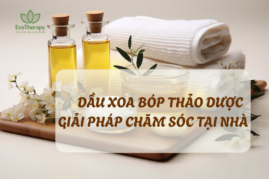 Dầu xoa bóp thảo dược – giải pháp chăm sóc tại nhà