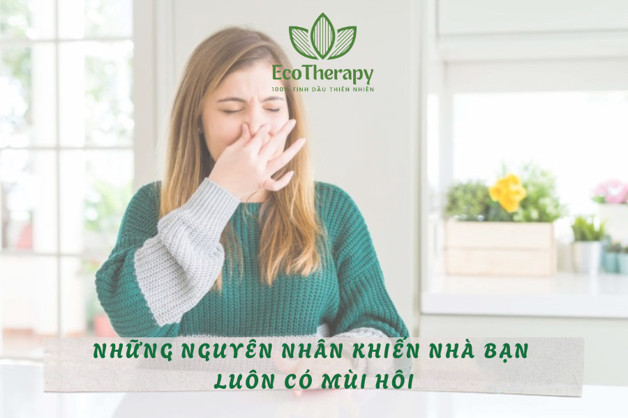 Những nguyên nhân khiến nhà bạn luôn có mùi hôi