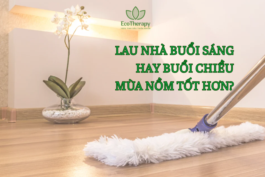 Lau nhà buổi sáng hay buổi chiều mùa nồm tốt hơn?