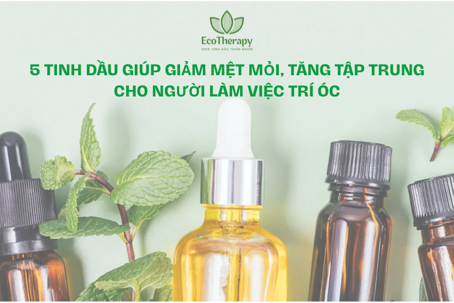 5 tinh dầu giúp giảm mệt mỏi, tăng tập trung cho người làm việc trí óc