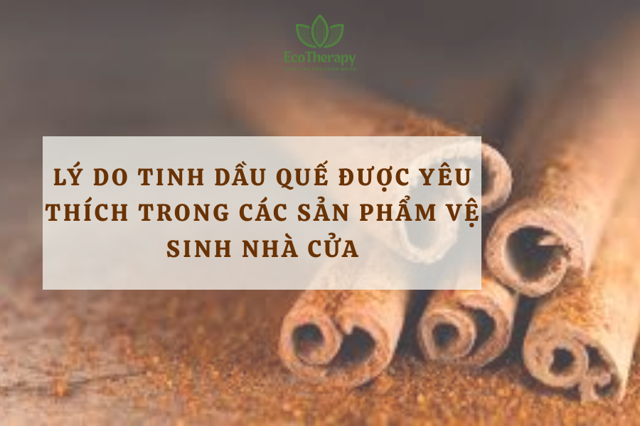 Lý do tinh dầu quế được yêu thích trong các sản phẩm vệ sinh nhà cửa