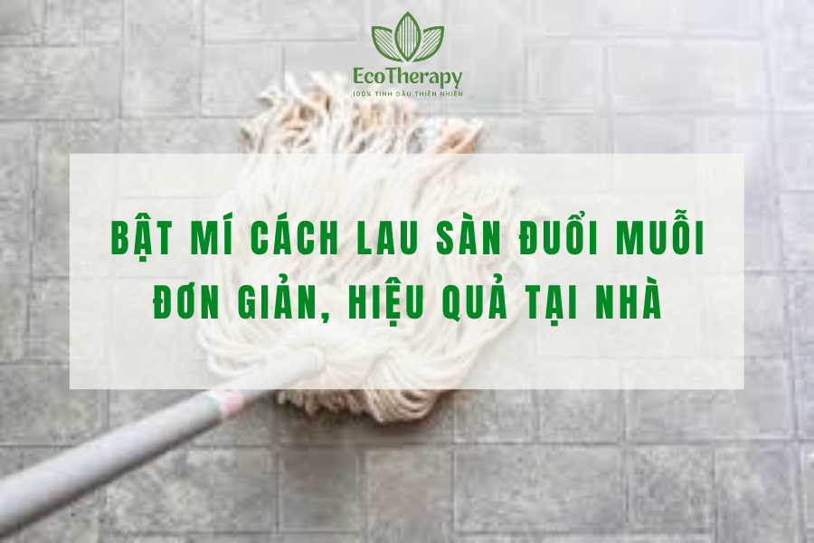 Bật mí cách lau sàn đuổi muỗi đơn giản, hiệu quả tại nhà