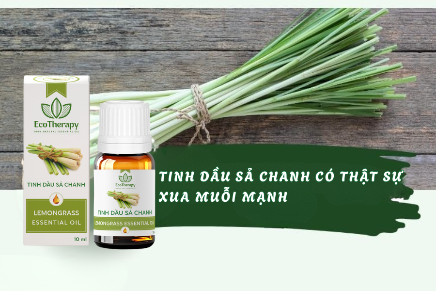 Tinh dầu sả chanh có thật sự xua muỗi mạnh? Nghiên cứu mới nhất
