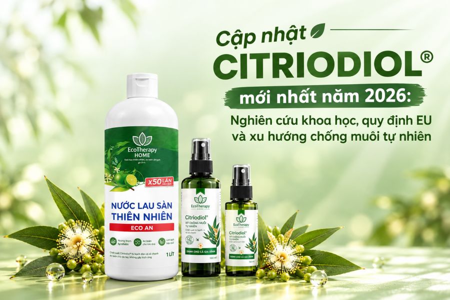 Cập nhật Citriodiol® mới nhất năm 2026: Nghiên cứu khoa học, quy định EU và xu hướng chống muỗi tự nhiên