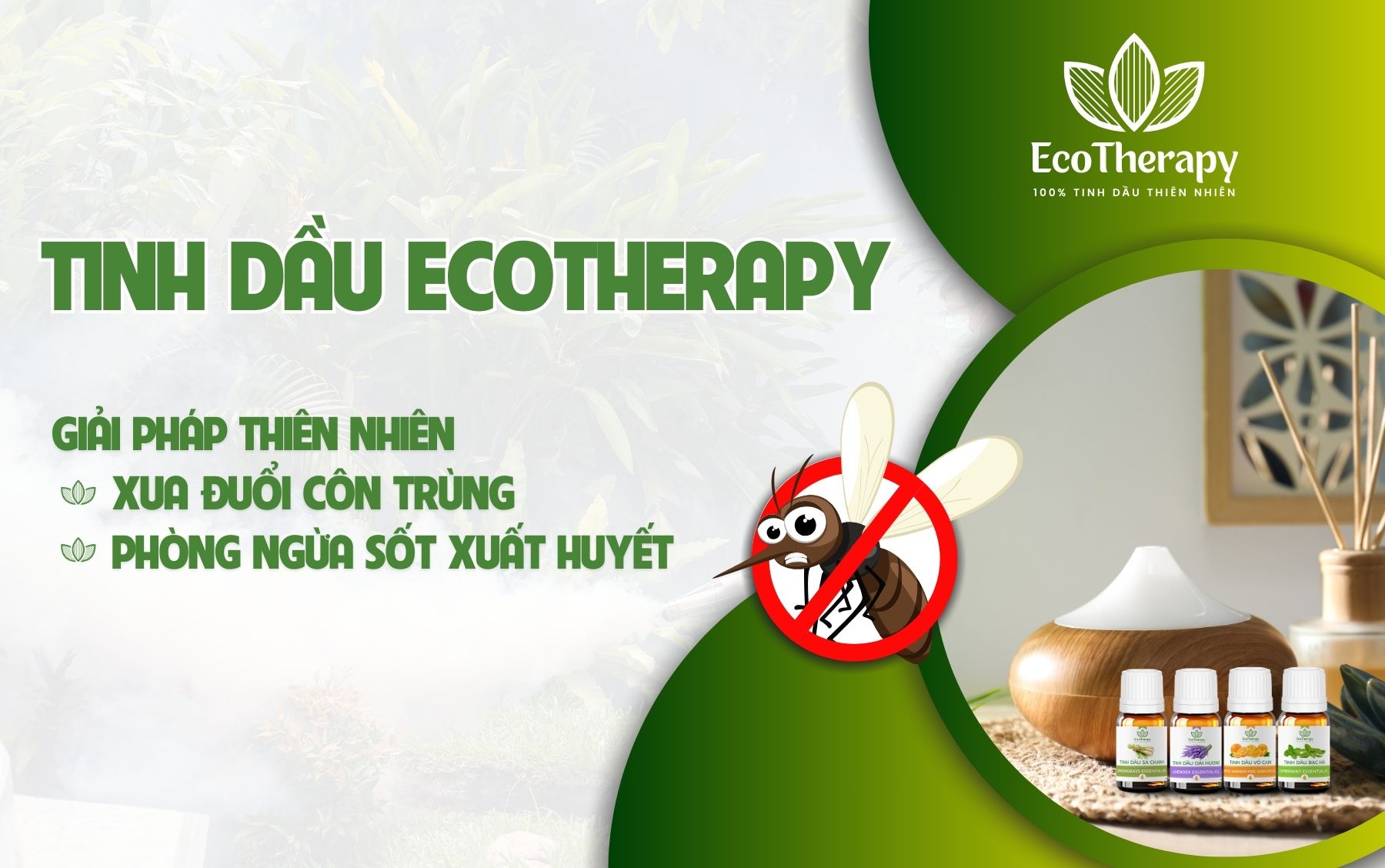 Tinh Dầu Ecotherapy: Giải Pháp Thiên Nhiên Xua Đuổi Côn Trùng, Phòng Ngừa Sốt Xuất Huyết