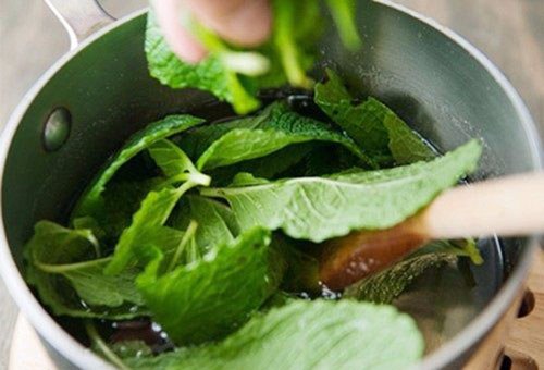 Cách làm tinh dầu bạc hà nguyên chất tại nhà đơn giản và hiệu quả