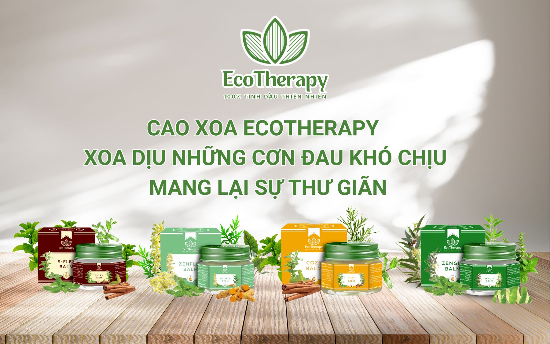 CAO XOA ECOTHERAPY – XOA DỊU NHỮNG CƠN ĐAU KHÓ CHỊU, MANG LẠI SỰ THƯ GIÃN