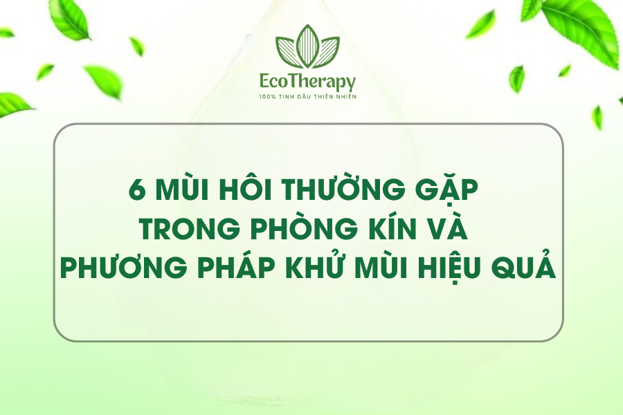 6 mùi hôi thường gặp nhất trong phòng kín và phương pháp khử mùi hiệu quả