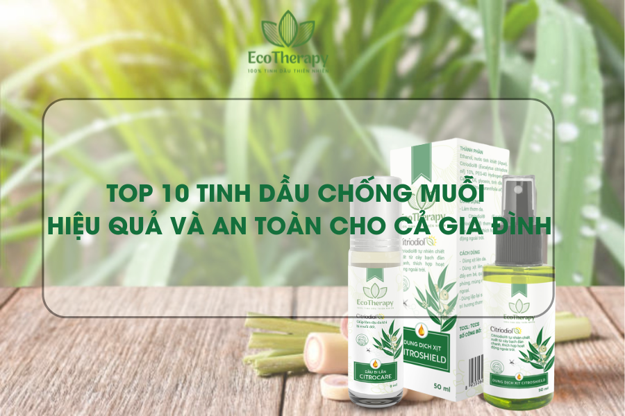 Top 10 tinh dầu chống muỗi hiệu quả và an toàn nhất cho cả gia đình