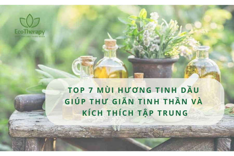 Top 7 mùi hương tinh dầu giúp thư giãn tinh thần và kích thích tập trung
