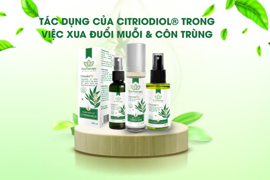 Tác dụng của Citriodiol® trong việc xua đuổi muỗi & côn trùng: Giải pháp an toàn từ thiên nhiên