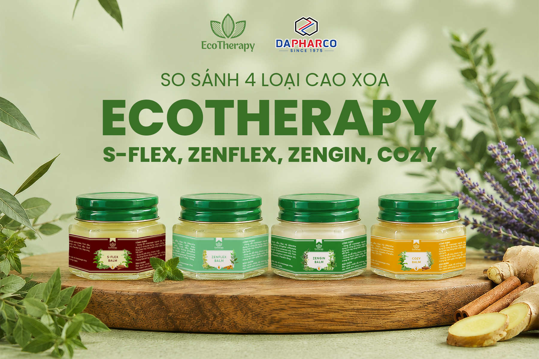 So sánh 4 loại cao xoa EcoTherapy: S-Flex, ZenFlex, Zengin, Cozy