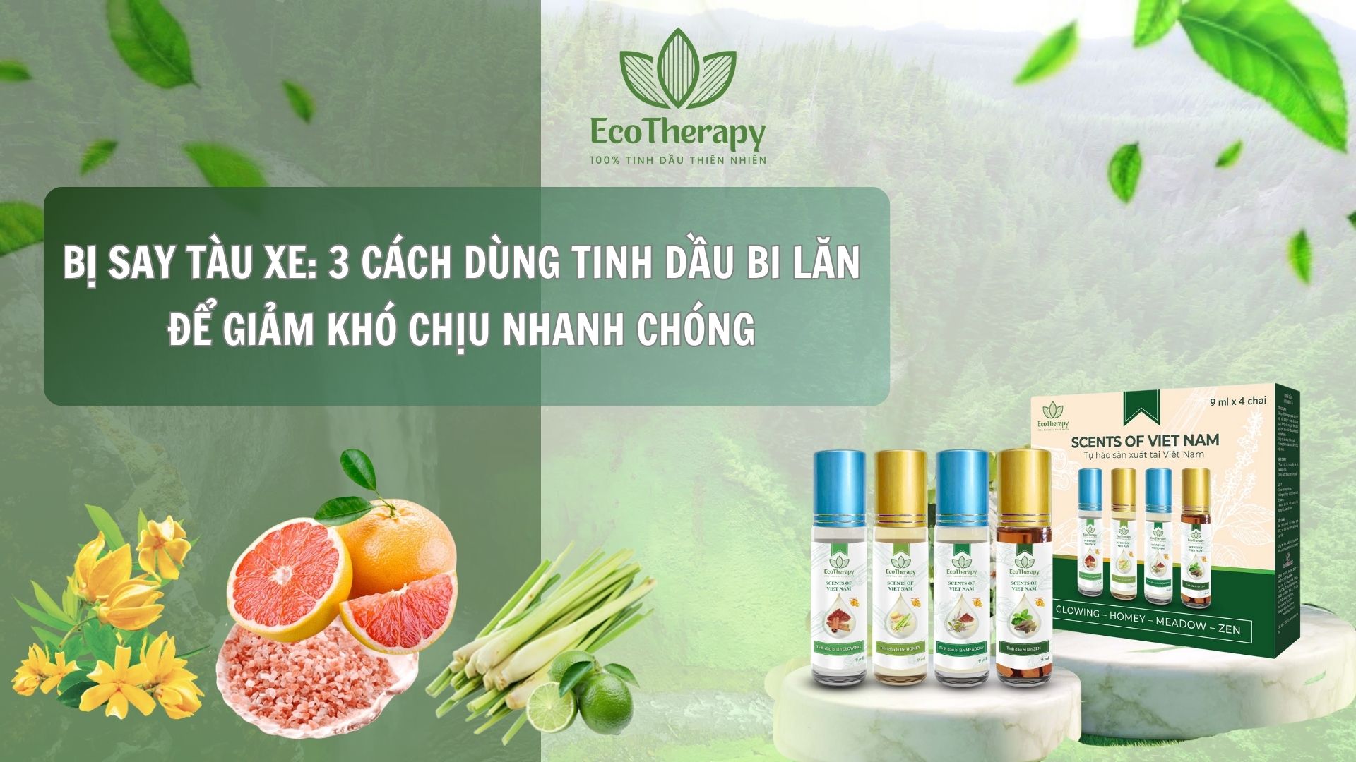 Bị say tàu xe: 3 cách dùng tinh dầu bi lăn để giảm khó chịu nhanh chóng