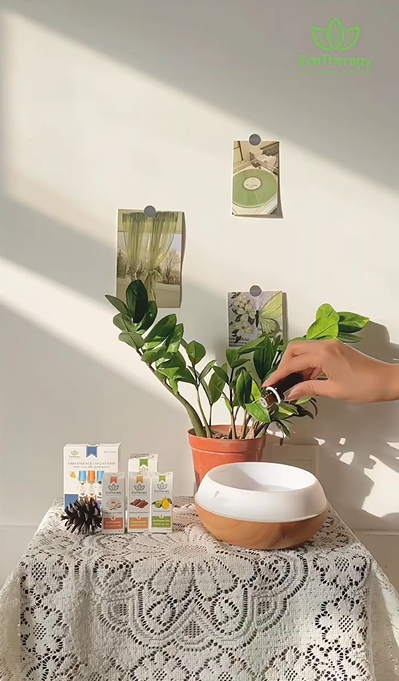 EcoTherapy – Thanh lọc không gian, chữa lành tâm hồn