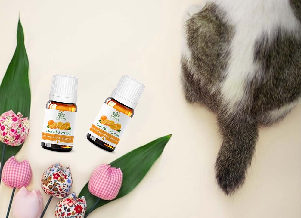 Khử Mùi Chó Mèo, Thú Cưng An Toàn Với Tinh Dầu Thiên Nhiên EcoTherapy