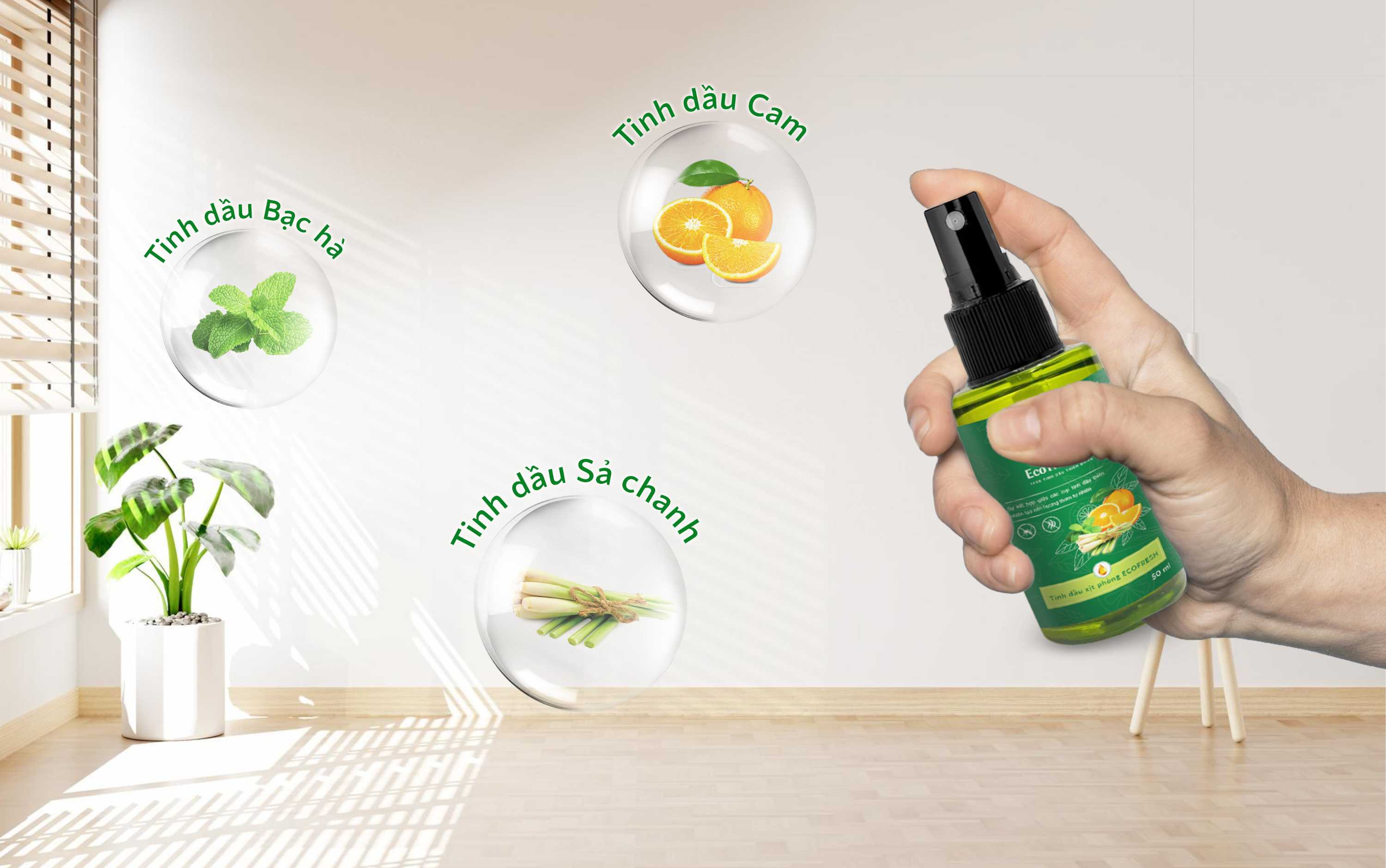 Bí quyết Mang Thiên Nhiên Vào Không Gian Nhà Bạn Với Tinh Dầu Xịt Phòng ECOFRESH