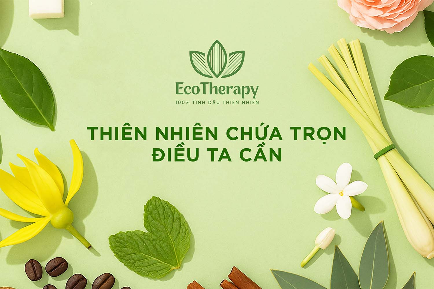 EcoTherapy – Hành trình kết nối con người với tinh túy thiên nhiên