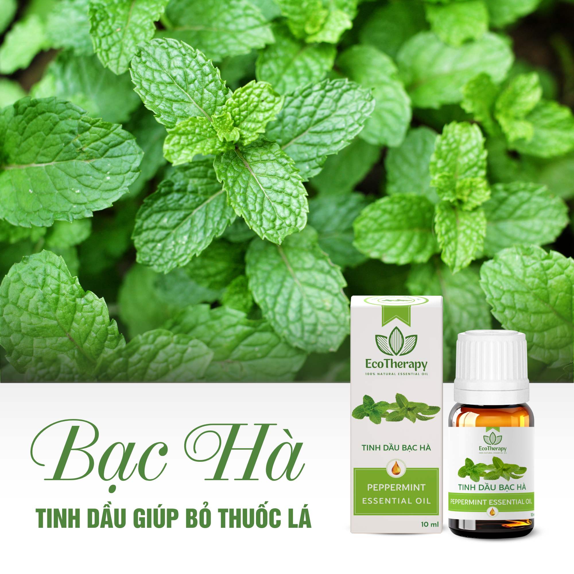 tinh-dau-bac-ha-10-ml