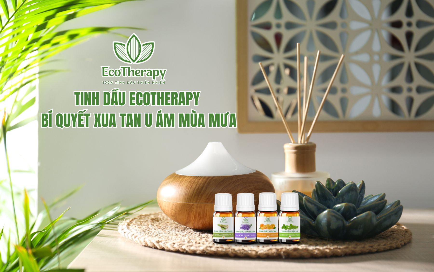 Tinh dầu EcoTherapy: Bí quyết xua tan u ám mùa mưa.
