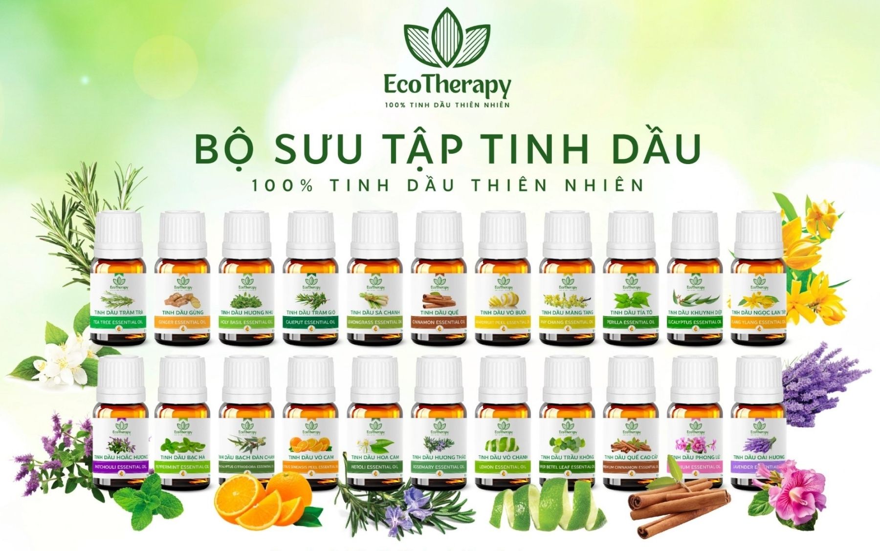 Bí quyết sử dụng máy khuếch tán tinh dầu hiệu quả