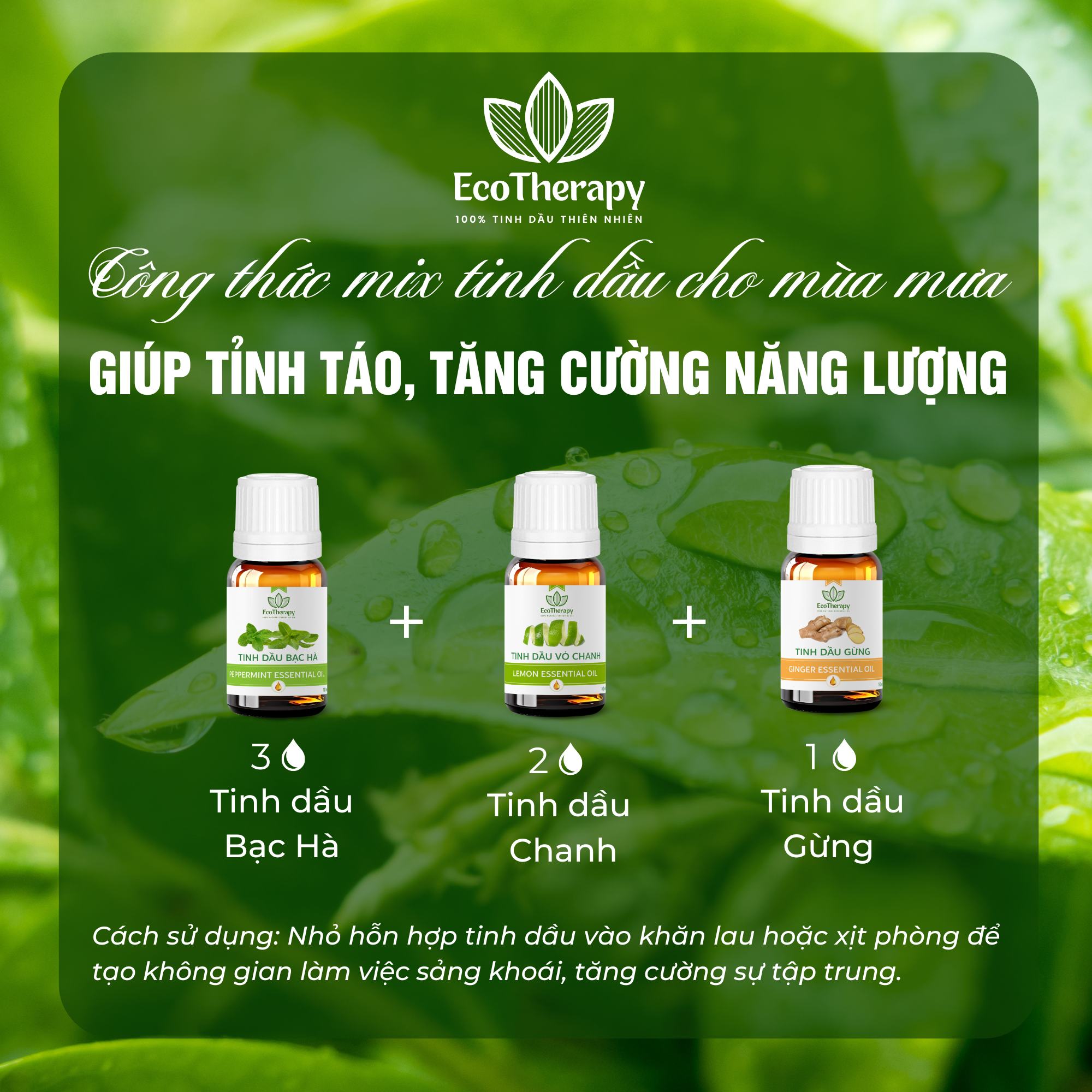 Công thức mix tinh dầu EcoTherapy cho mùa mưa: Thư giãn và sảng khoái mỗi ngày
