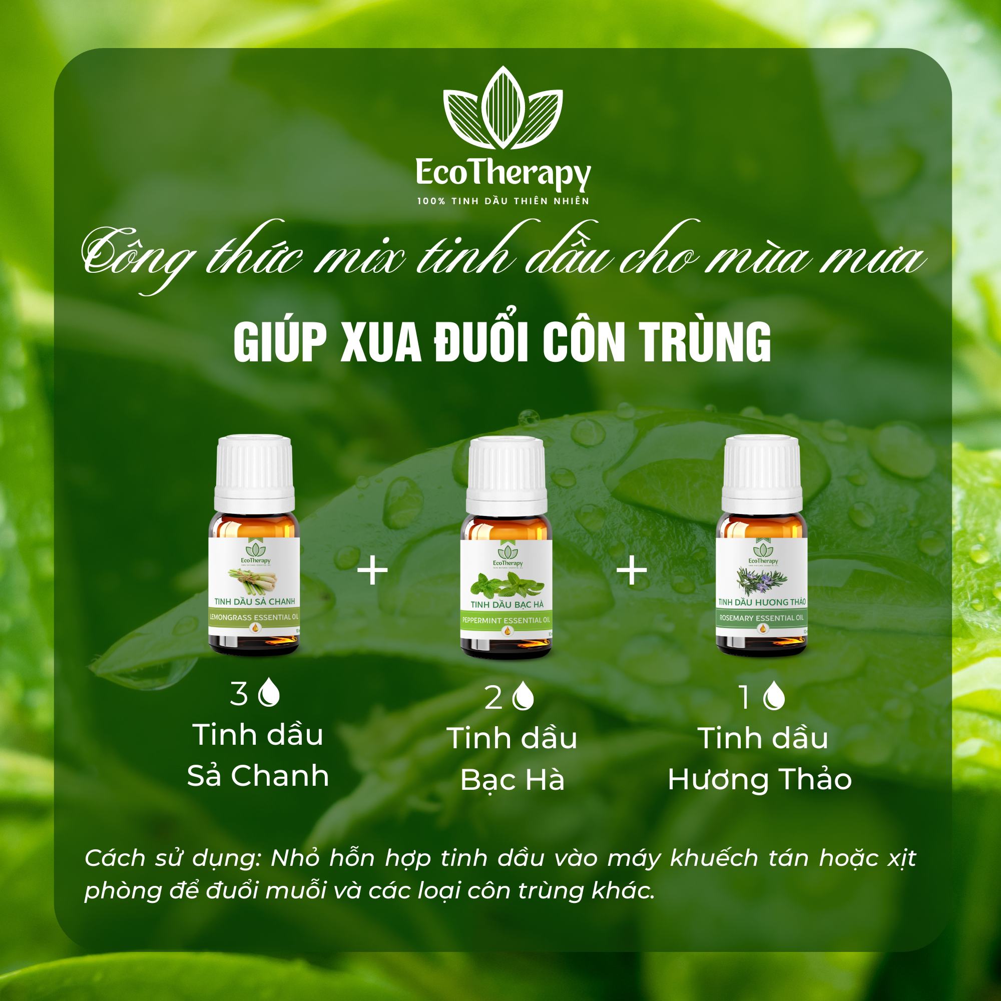 Công thức mix tinh dầu EcoTherapy cho mùa mưa: Thư giãn và sảng khoái mỗi ngày