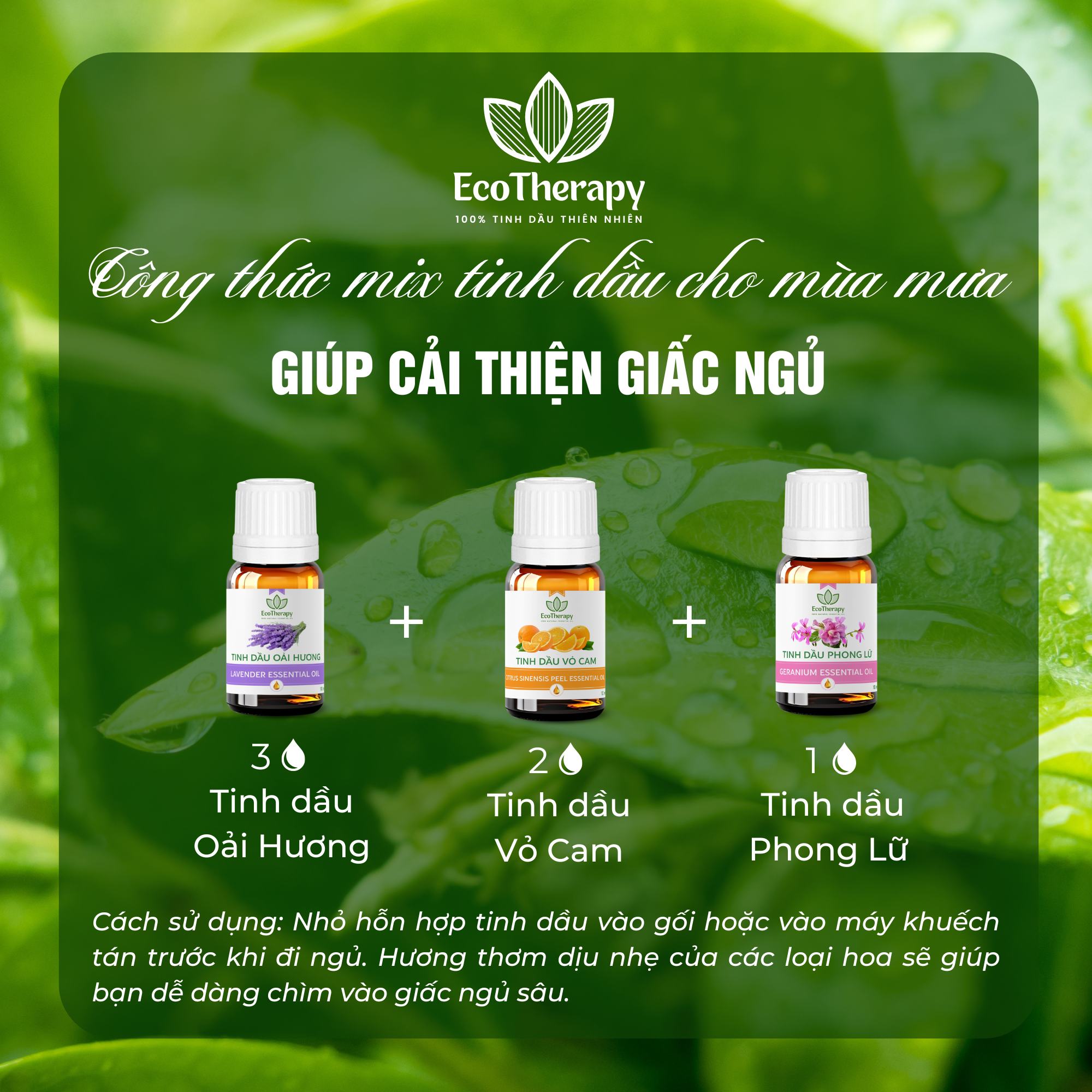 Công thức mix tinh dầu EcoTherapy cho mùa mưa: Thư giãn và sảng khoái mỗi ngày