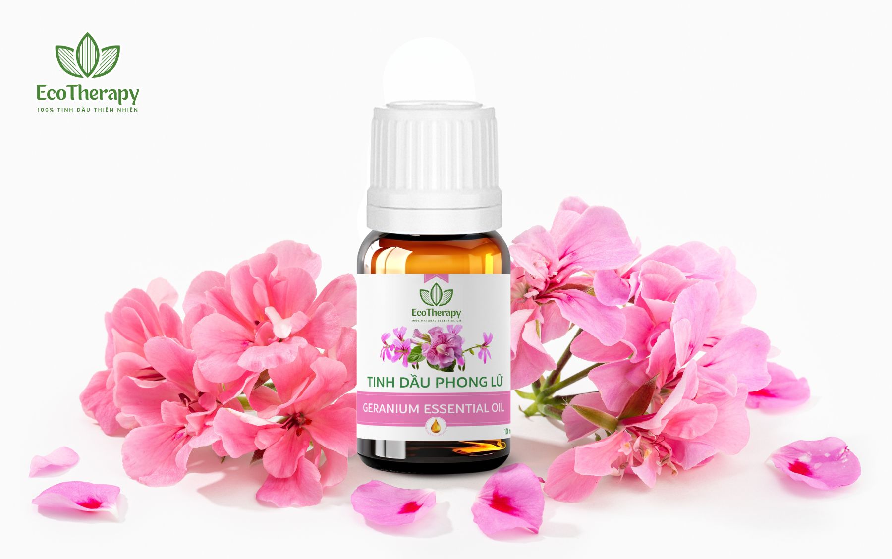 tinh-dau-phong-lu-10-ml