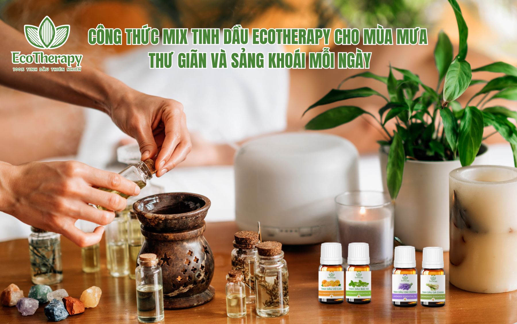 Công thức mix tinh dầu EcoTherapy cho mùa mưa: Thư giãn và sảng khoái mỗi ngày
