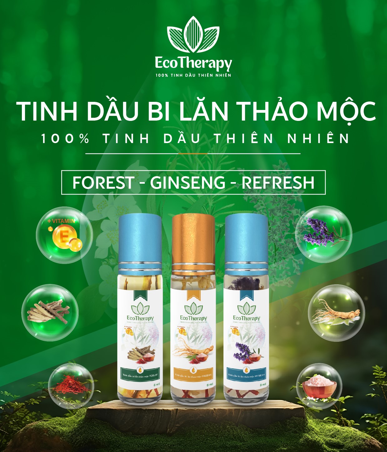 Tinh Dầu Bi Lăn Thảo Mộc EcoTherapy - Năng Lượng Thiên Nhiên Cho Cuộc Sống Hiện Đại