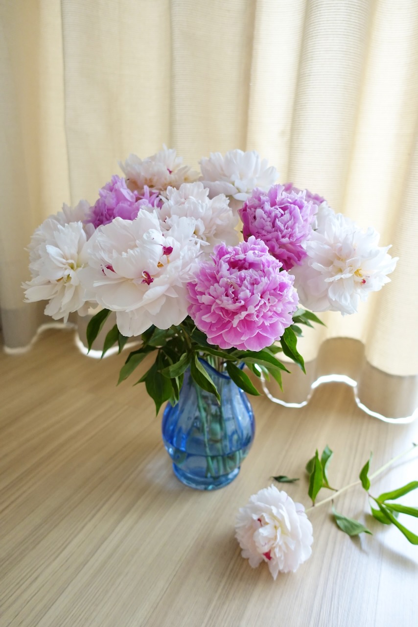 Hướng dẫn chăm sóc hoa cắm thả bình cơ bản