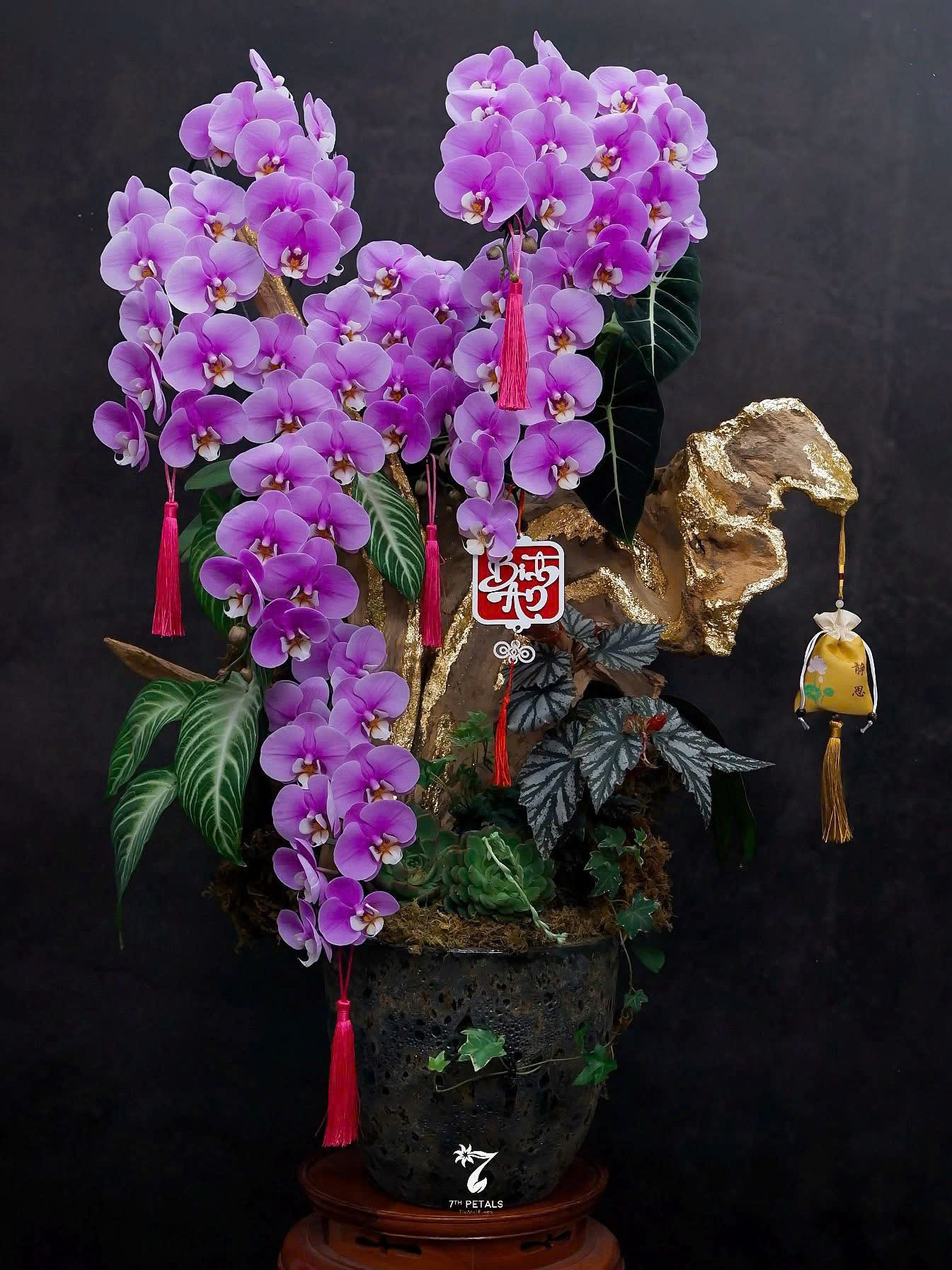 Hồ điệp